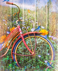 Bluebirds on a Bicycle