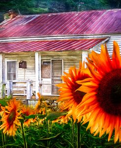 Memories of Home