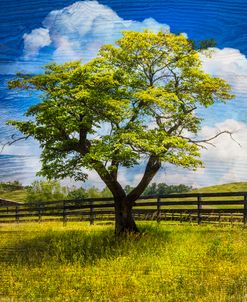 Springtime Afternoon II