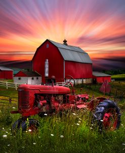 Reds at Sunset in Square