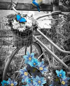 Summer Breeze on a Bicycle Black and White with Blue Color Selection