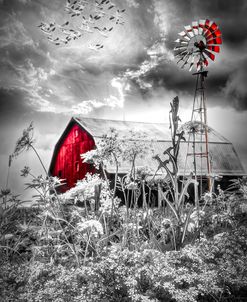 Windmill at the Farm-2