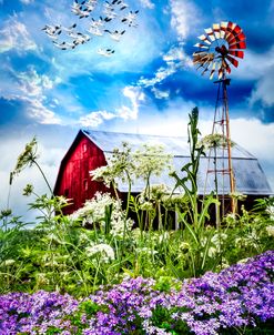 Windmill at the Farm