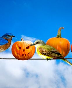 Halloween for the Birds