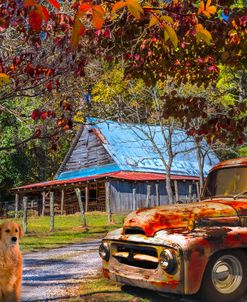 Ol’ Country Rust and Ready_