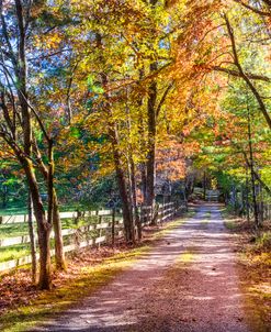 Wooden Fences