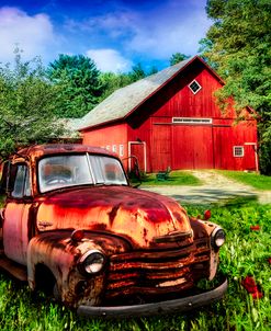 Rusty Reds in Poppies