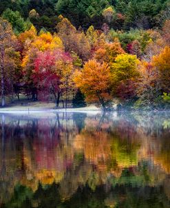 The Colors of Autumn