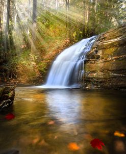 Waterfall Light