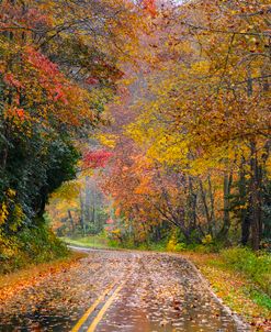 Autumn Drive