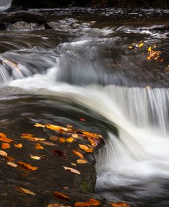Rushing