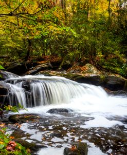 Autumn Whitewater