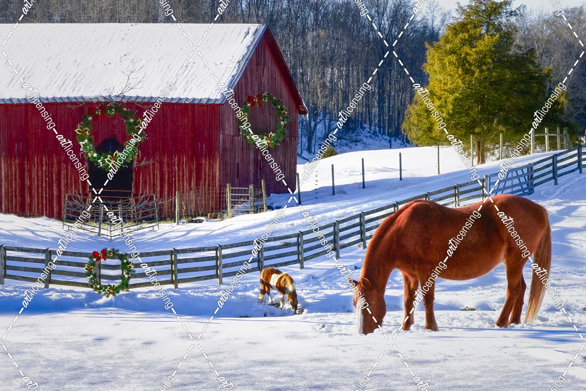 Christmas Horse Farm