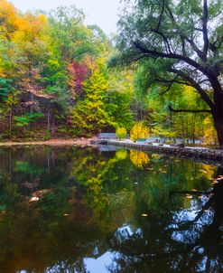 The Pond below the Falls