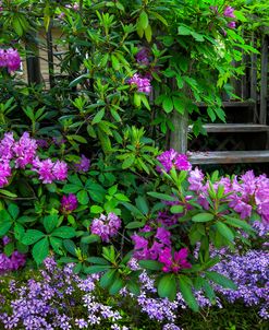 Come to the Garden