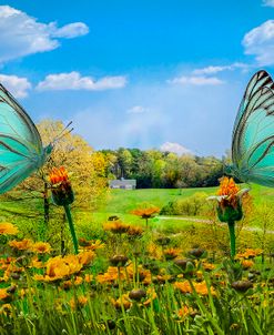 Country Road in Butterflies