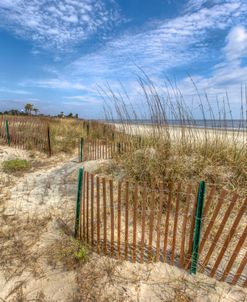 Curving Dune Fences