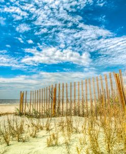 Beach Fences at the Dunes
