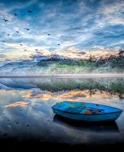 Floating Blues at Evening Light