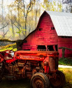 Rusty Red at The Farm