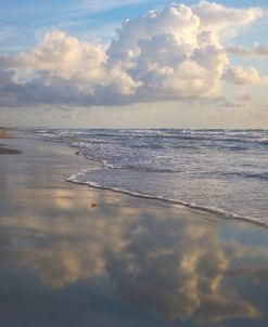 Morning Mirror