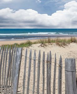 Beach Fences on the Dunes