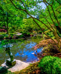 Japanese Garden at Gibbs