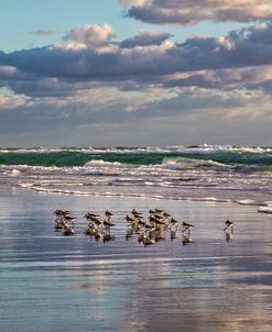 Strolling at the Seashore