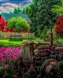 Tractor in the Garden_