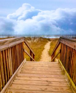 Seaside Dunes