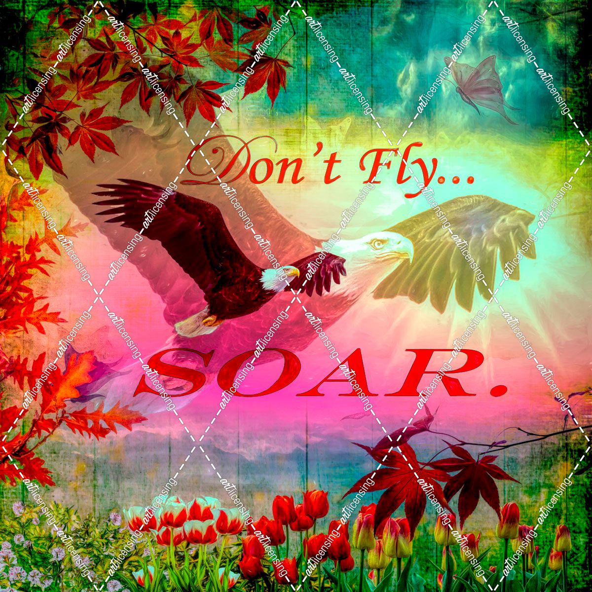 Don’t Fly, Soar
