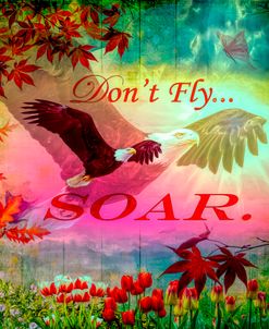 Don’t Fly, Soar