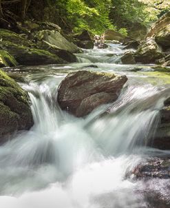 Fresh Mountain Stream