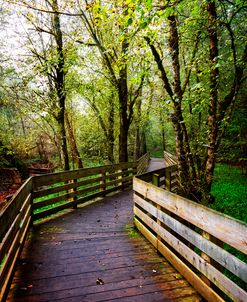 Boardwalk along the River