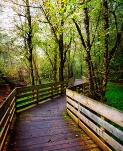 Boardwalk along the River