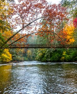 The Toccoa River Hanging Bridge