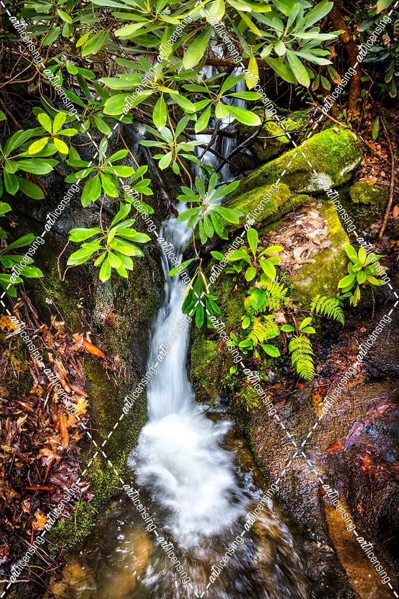 Mossy Waterfall