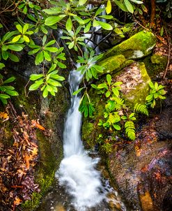 Mossy Waterfall