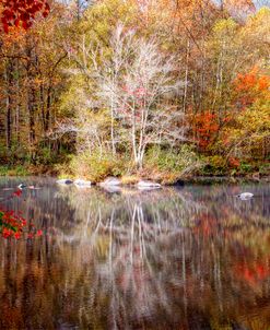 Autumn’s Peak in Square