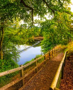 Trail to the Dam