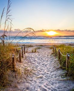 Take a Walk into Paradise