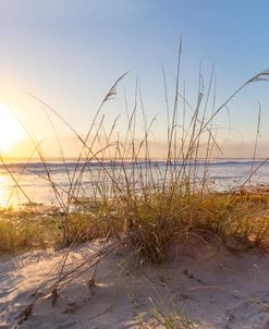 Morning Sun on the Sanddunes