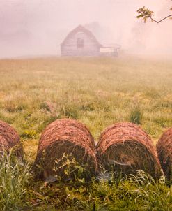 Autumn Hay Bales in the Fog