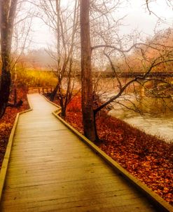 Meandering along the River