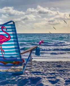 Flamingos at the Beach