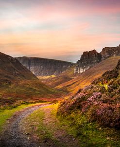 Heather on the Hillsides