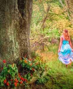 Morning Garden Stroll