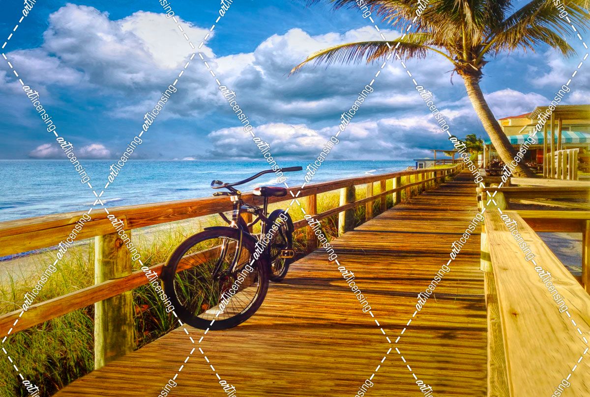 Morning Beach Bicycle