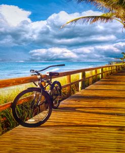 Morning Beach Bicycle