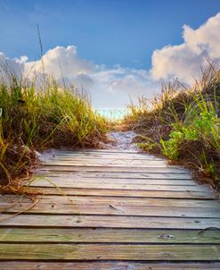 Up and Over the Dunes